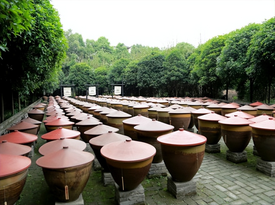 川菜十大名菜每一道菜都是经典,川菜十大顶级菜