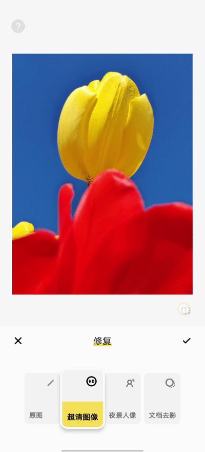 用什么可以拍出美丽花草的照片,6个技巧拍好花卉照片