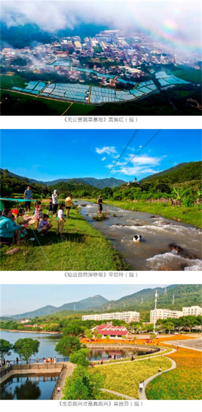 生态环保主题摄影,大美摄影大赛获奖作品