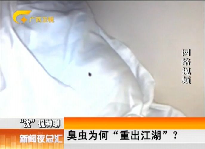 宿舍有臭虫怎么彻底消灭,宿舍有臭虫怎么防止被咬