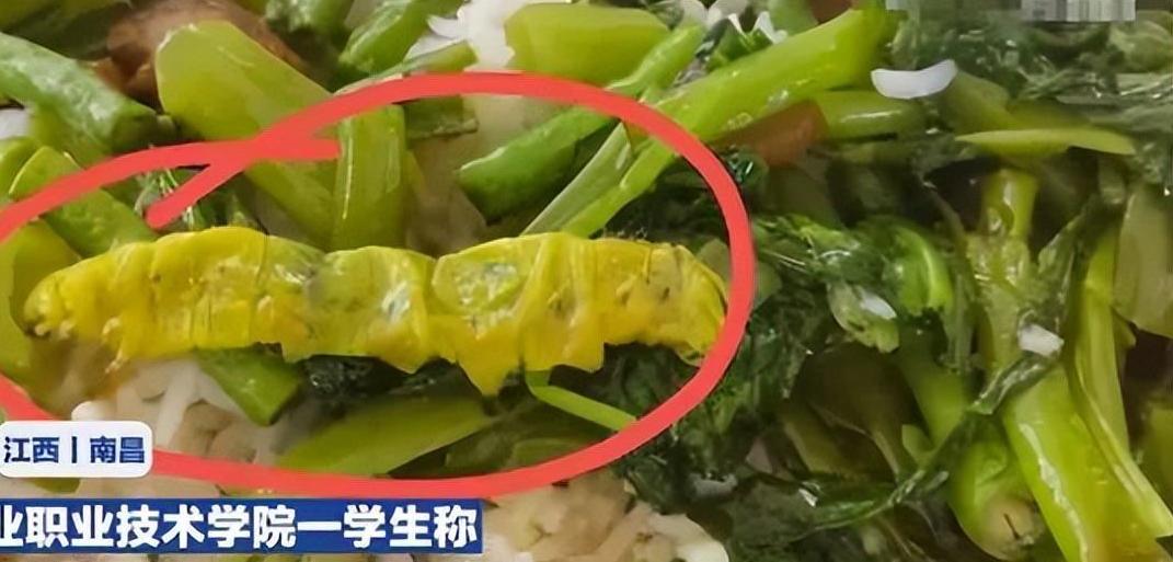 鸭脖事件学生点外卖,鸭脖事件涉事学校学生叫外卖