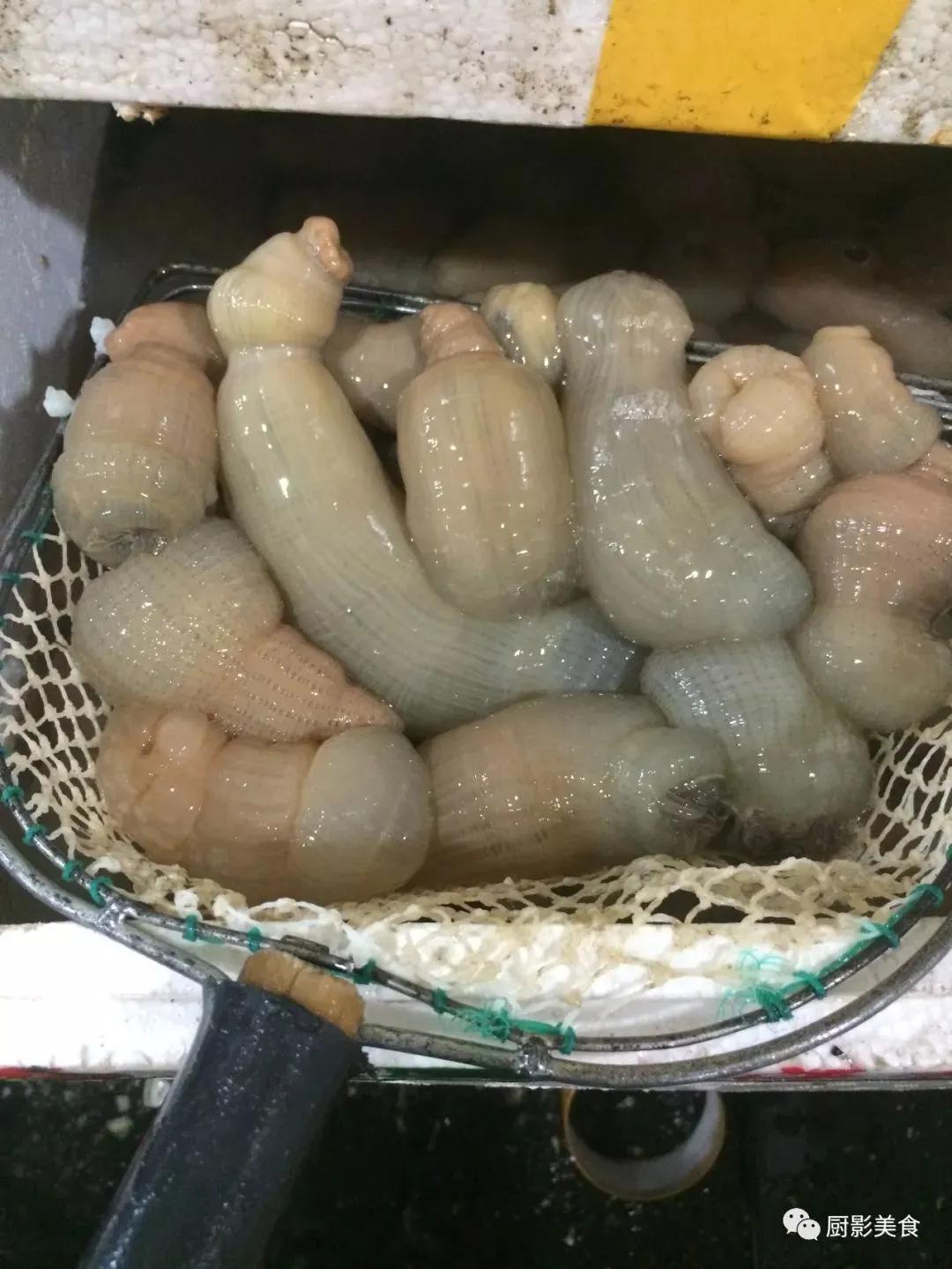 国内十大海边旅游胜地有哪些,三亚海鲜胜地