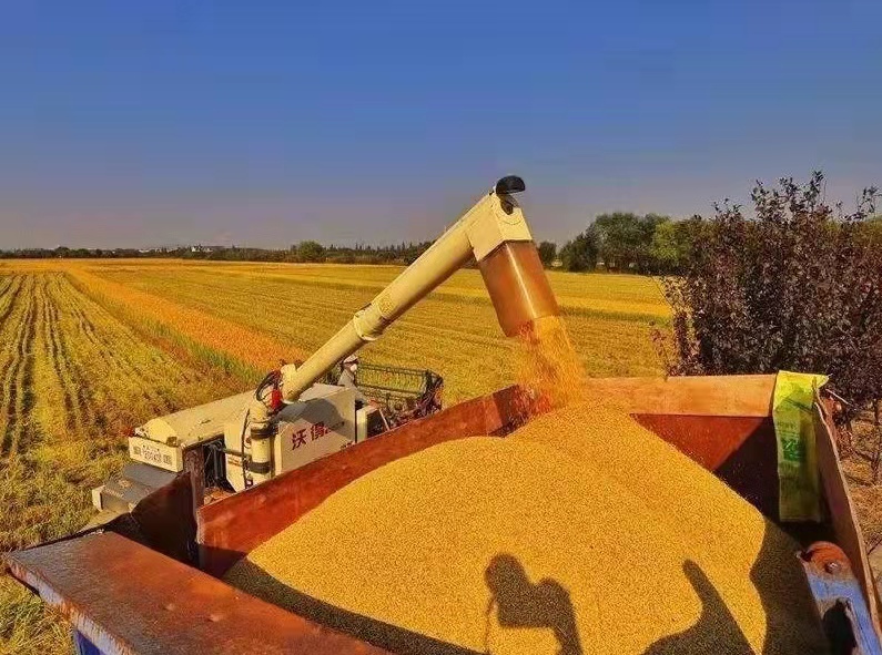 贺新年对联七言大全,贺新年七言古诗100首
