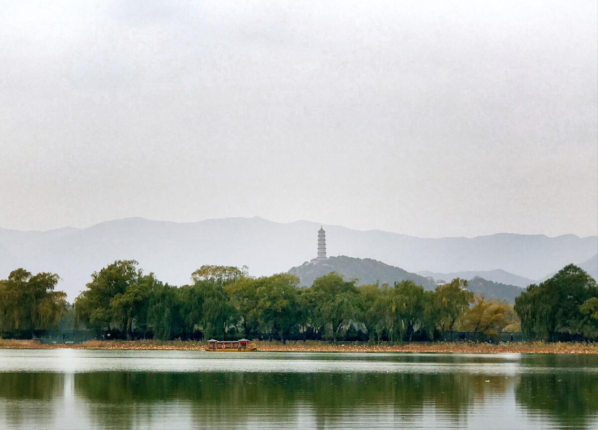 青山隐隐水迢迢秋尽江南草未凋,青山隐隐水迢迢杨再春书法欣赏