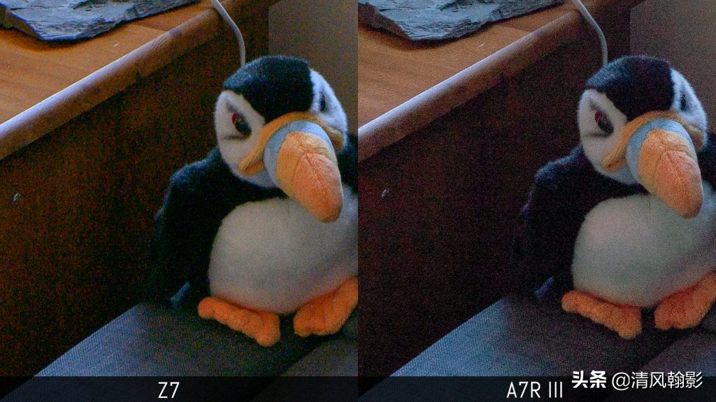 拍鸟用尼康d6好还是z7ii好,拍鸟买r6还是r5