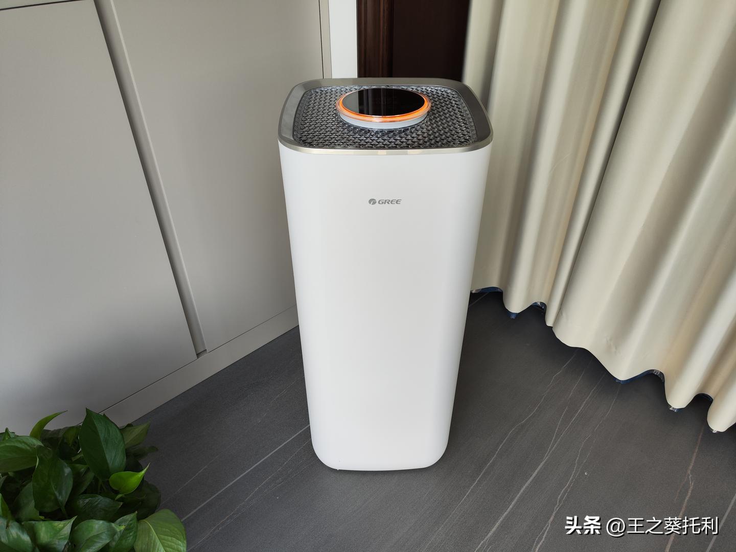 空气净化器除甲醛值300可以吗,格力空气净化器除甲醛评测排名