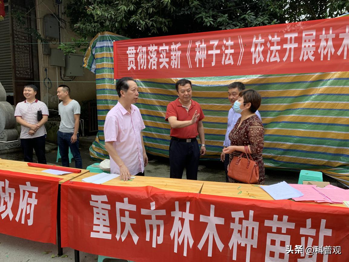 日本垄断中国市场百分之多少,打破西兰花种子垄断的原因