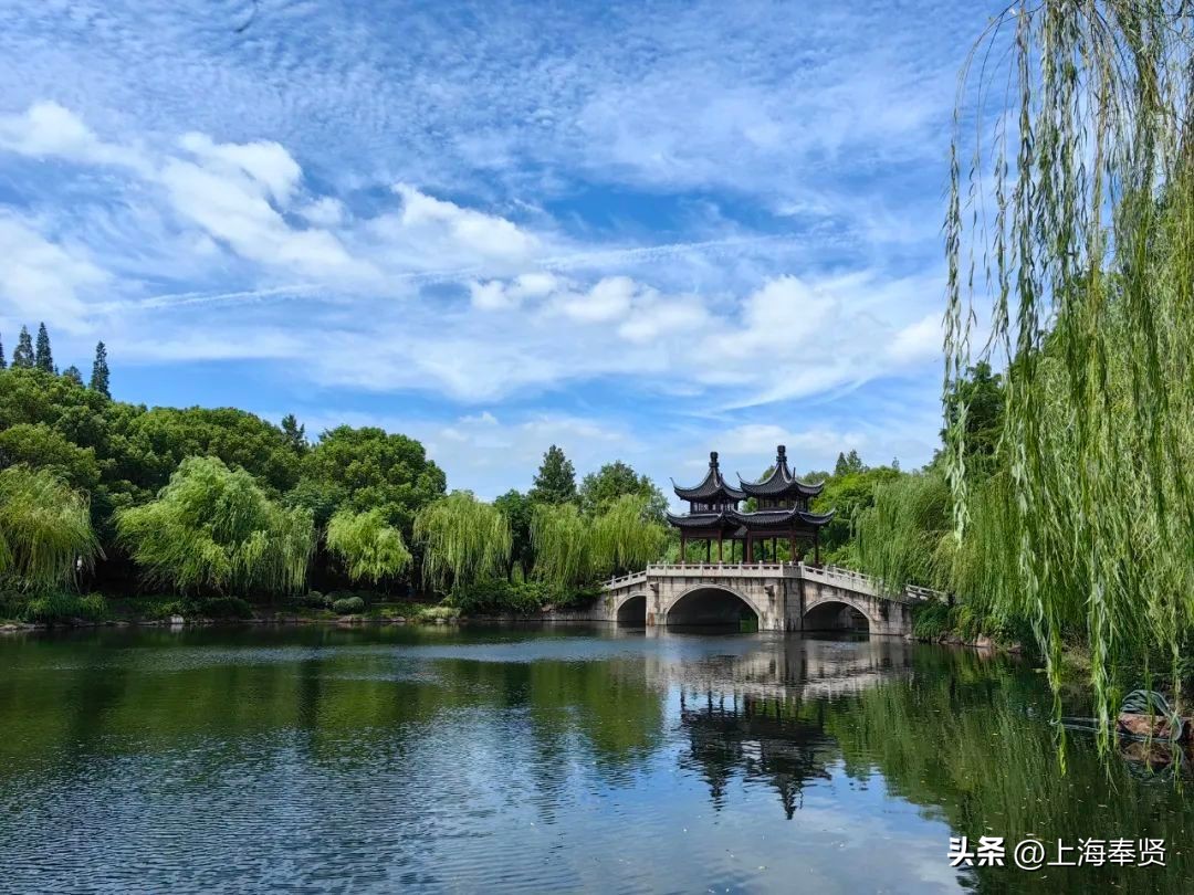 九月的第一天阳光灿烂,九月的第一天有点甜