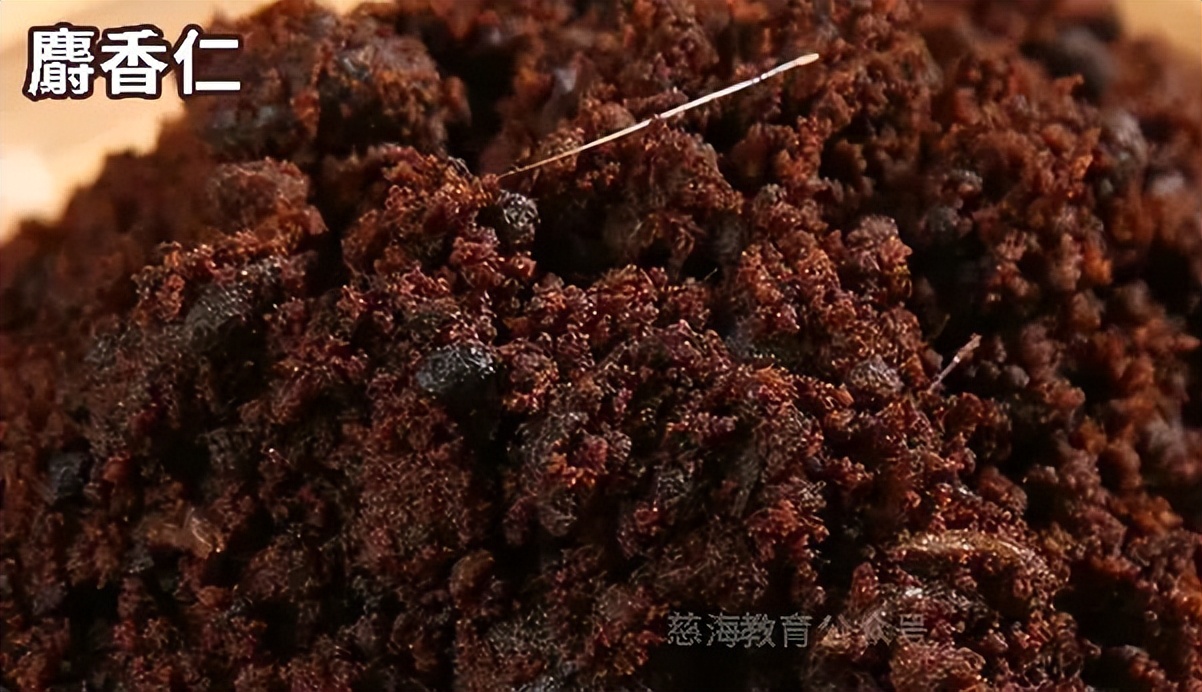 每天学习一味中药阿魏,每天学习一味中药藿香