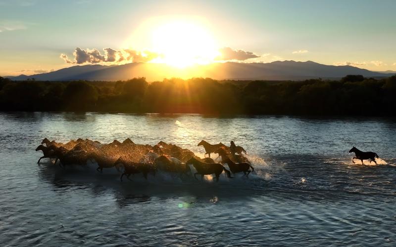 村超小摄影师是哪里人,村超5岁摄影师