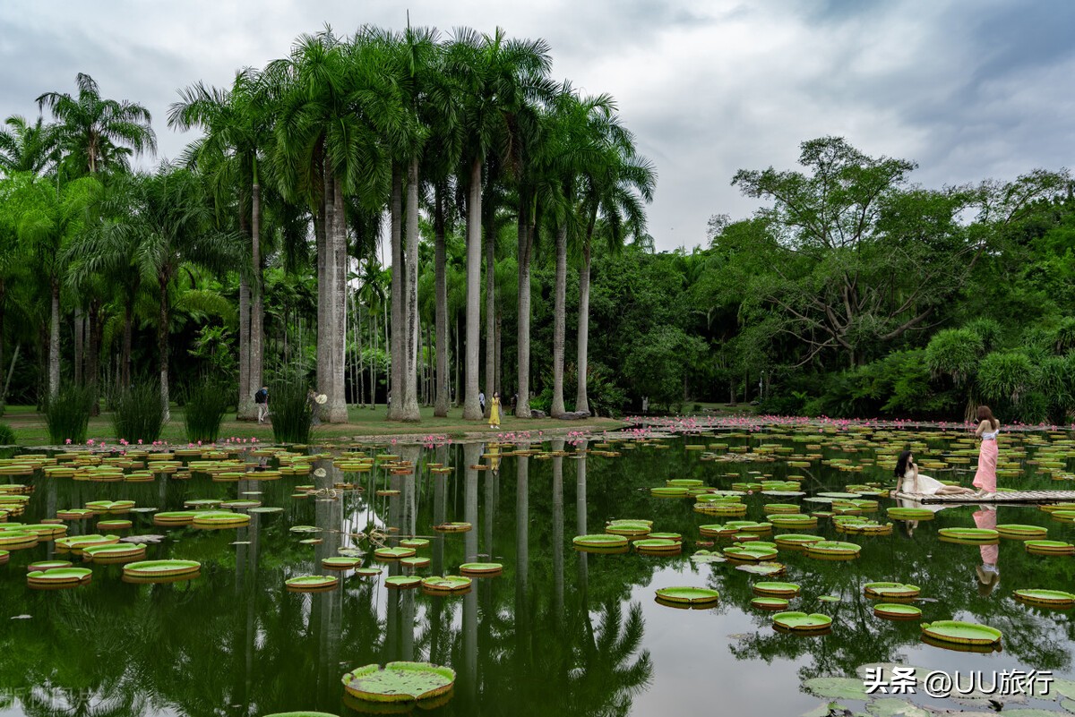 西双版纳春节防疫最新规定,西双版纳各个旅游景点防疫政策