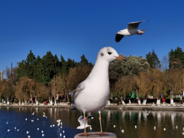 云南旅游攻略昆明旅游攻略,云南昆明旅游攻略