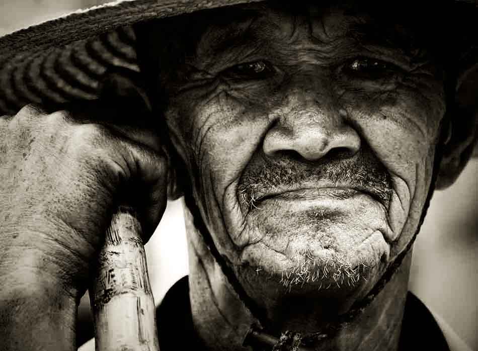 纯朴厚道的淄博人,淳朴善良厚道