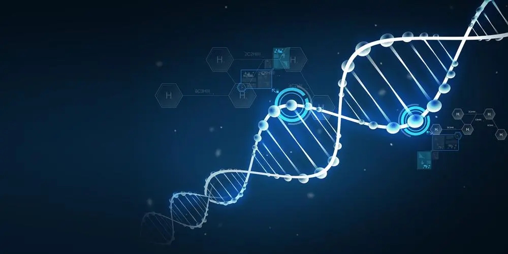 比较有前景的创业项目2022年,最有前景的十大创业项目