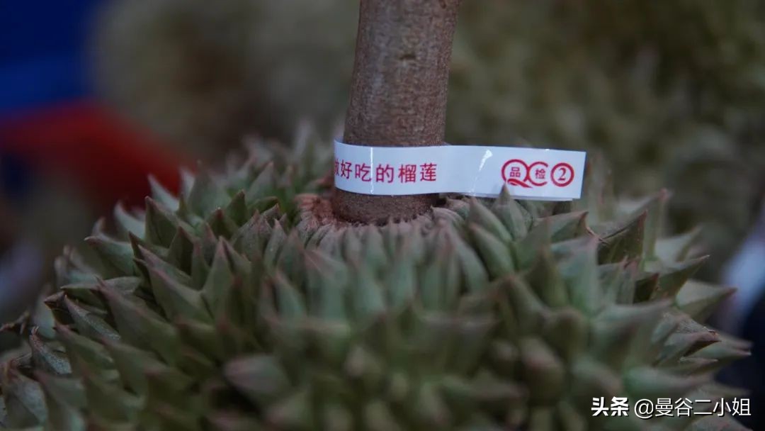 真的榴莲自由了！在泰国榴莲工厂干饭，幸福的泪水从嘴角流下来