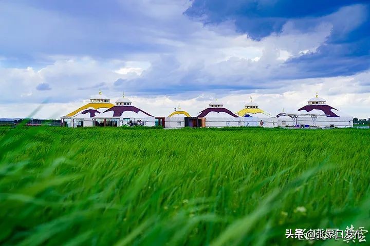 来坝上草原的第二天,来内蒙古天空草原感受慢生活