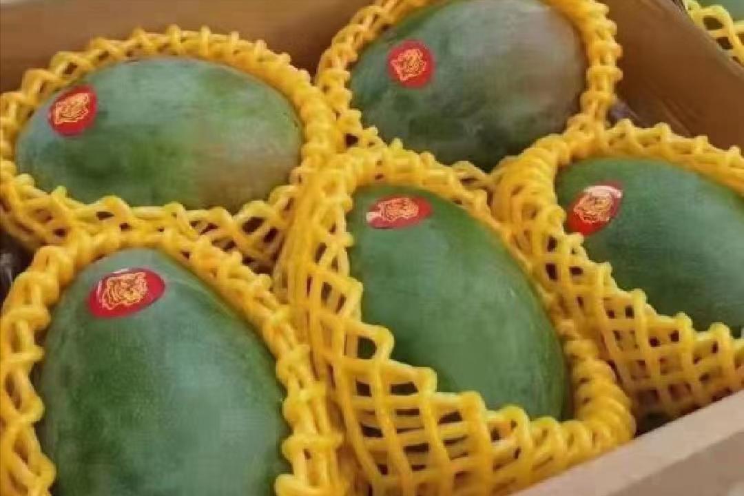 外国水果运到中国,澳洲水果出口中国