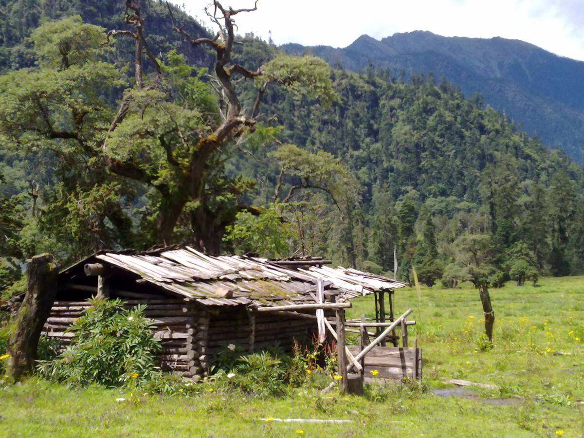 7月初去西北旅游注意事项,去川藏前怎么样准备才能减少高反