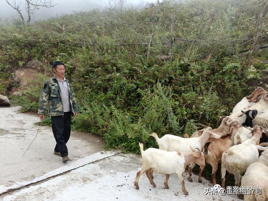 救甘宇的过程,救甘宇的人是谁