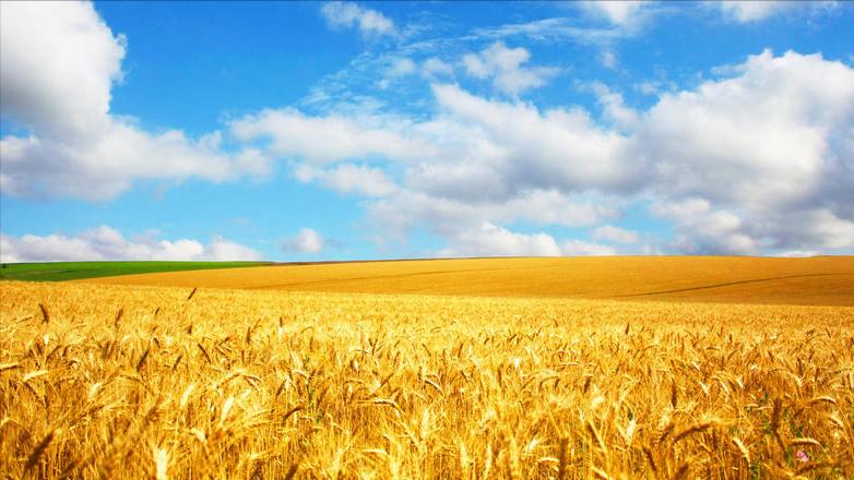 什么星座脾气大,本事小脾气大的星座男