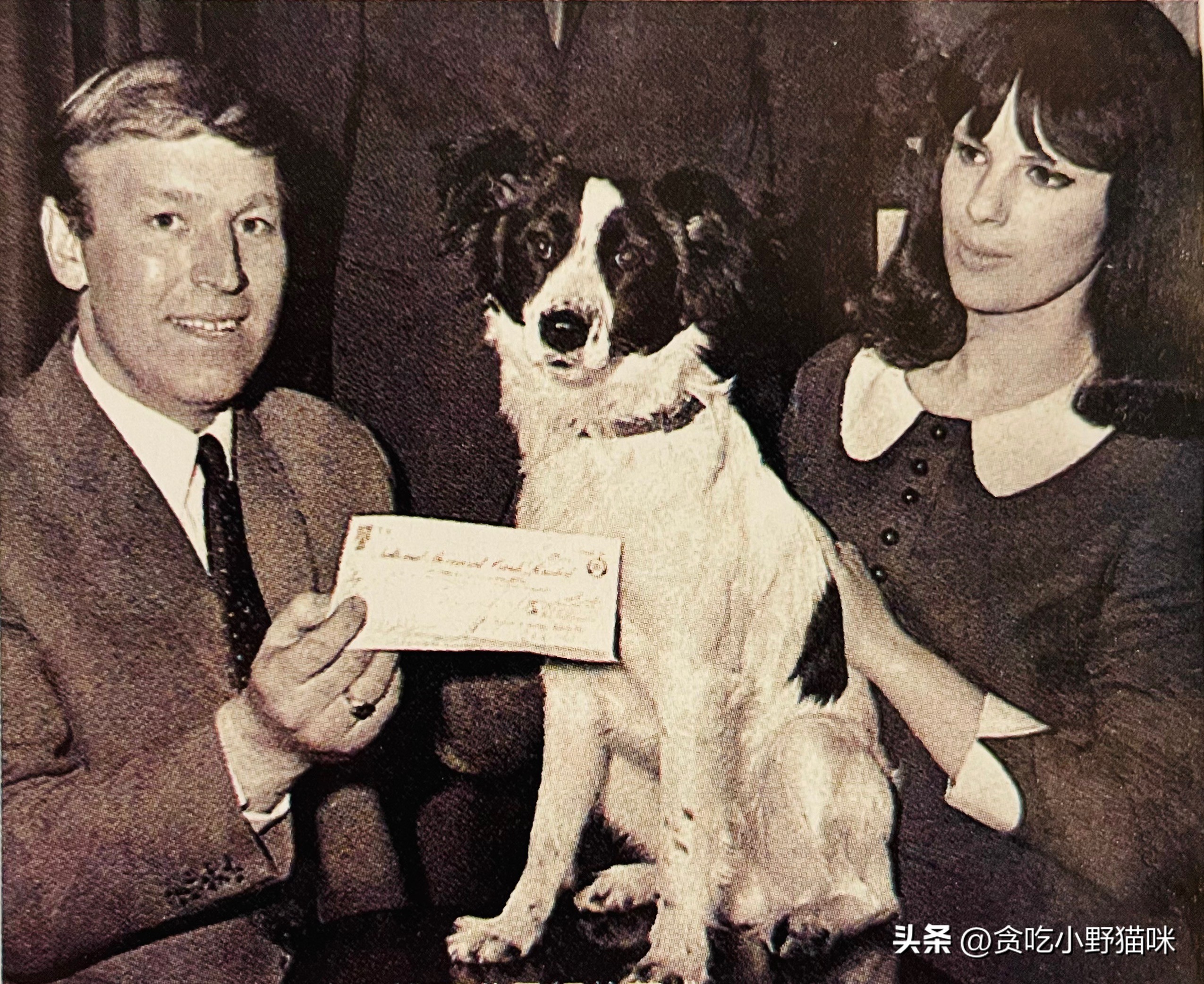 世界足坛70大龌龊事件（7）