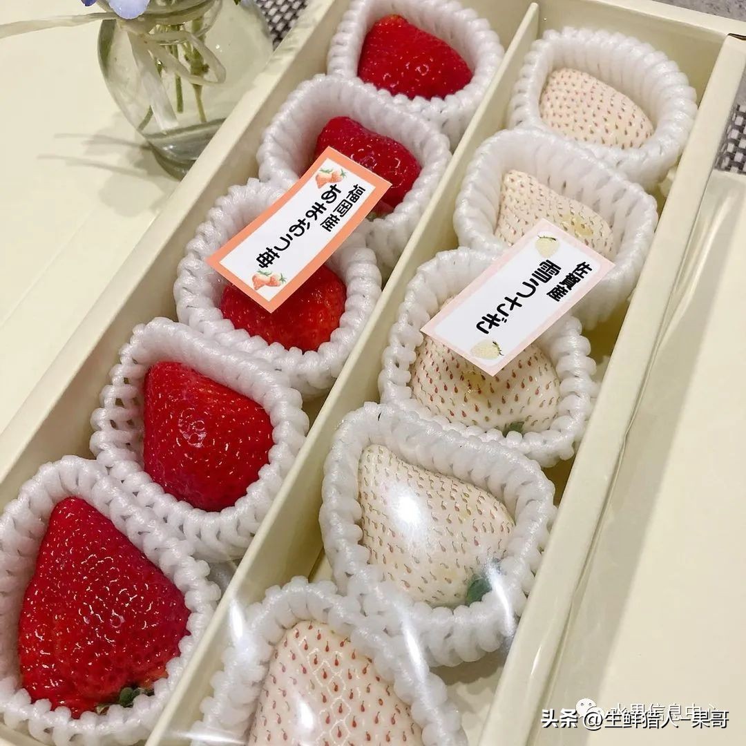 最好吃的白草莓品种前十名,好吃实惠的草莓品种有哪些