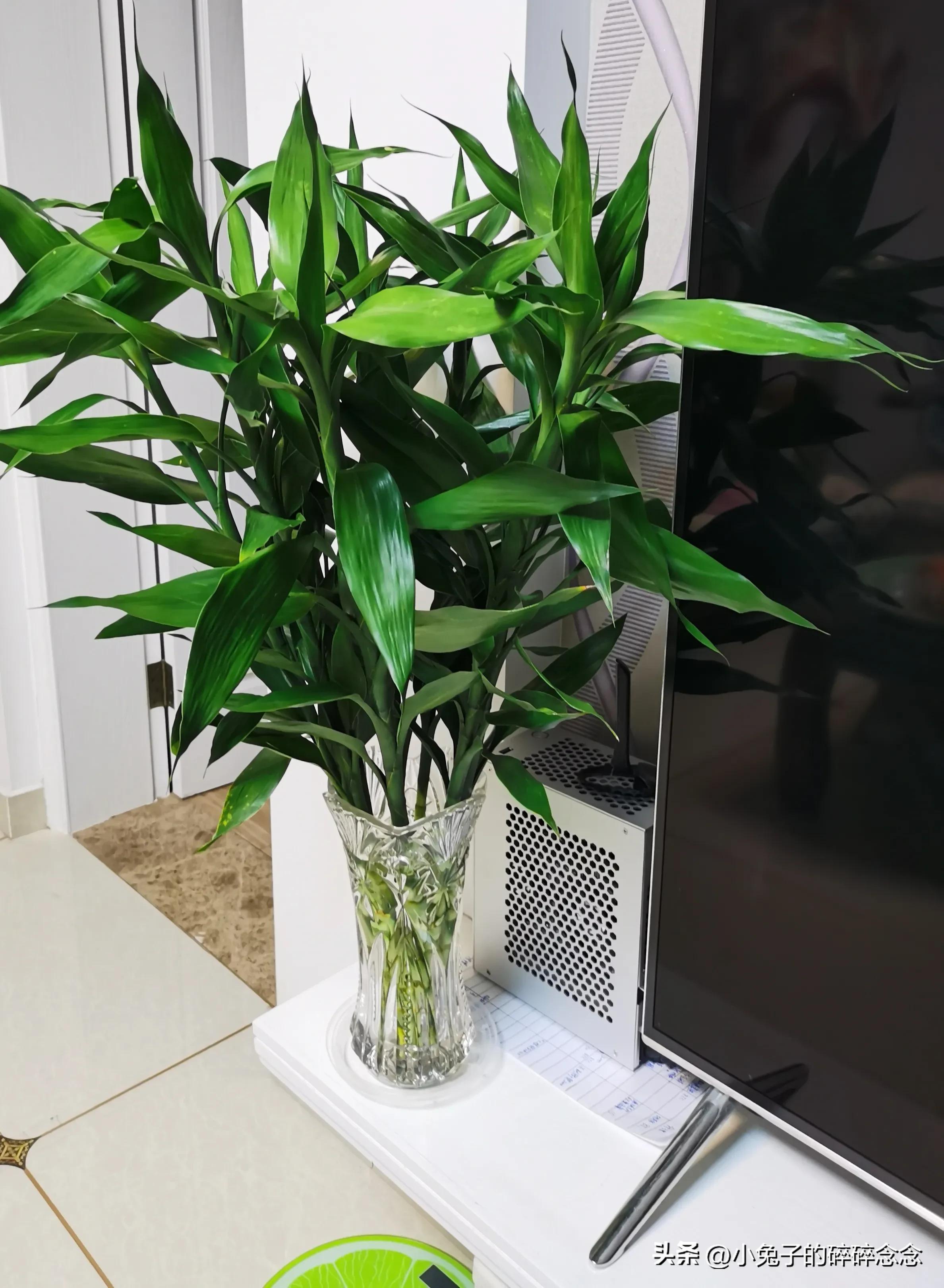 台式机和笔记本电脑哪个值得买,推荐买台式电脑还是笔记本电脑