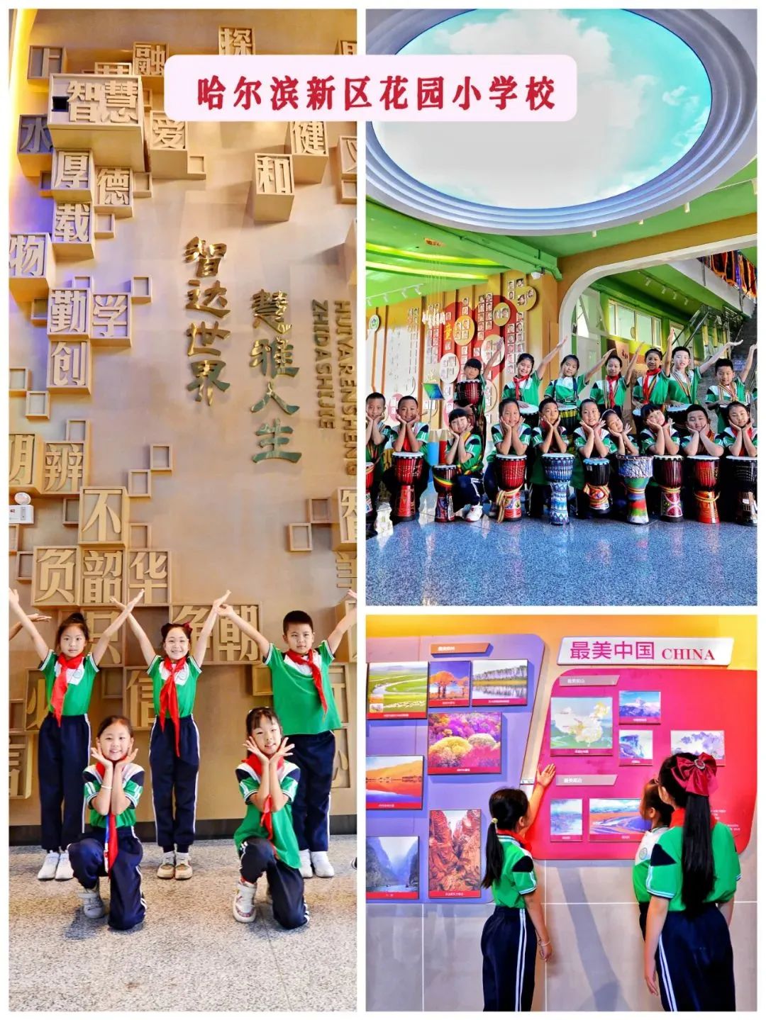 哈尔滨市新区第六学校位置在哪,哈尔滨新区第五校和第七校