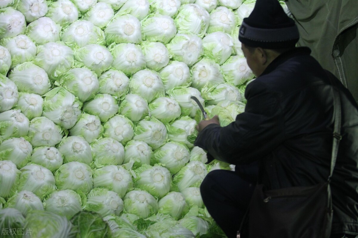 安徽夫妇在俄罗斯远东种菜,销售大白菜的时候被韩国人摆了一道