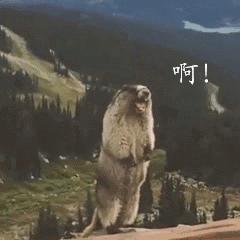 红米note7手机通话声音小教你一招,vivo手机通话声音太小怎样解决