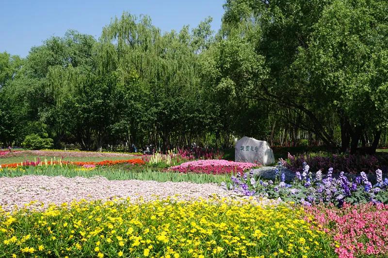 海淀公园相亲小程序,海淀公园相亲角