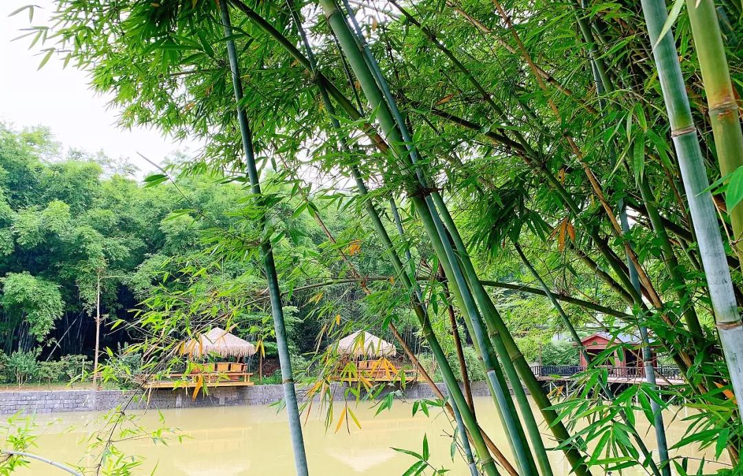 增城小众山野田园民宿,广州增城新晋网红民宿出炉