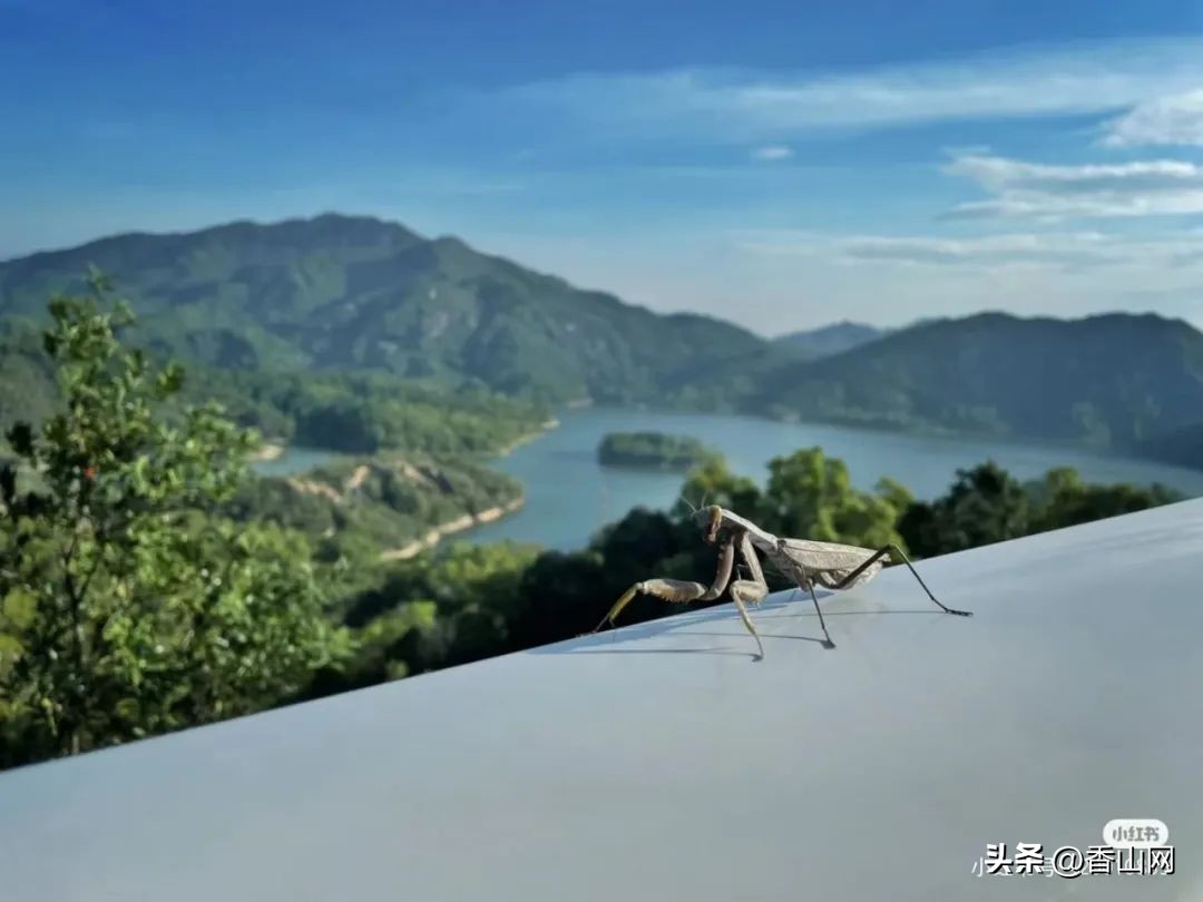 珠海香山湖公园云山栈道一游,珠海香山云道风景太美了