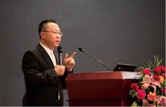 落魄的凤凰不如鸡对吗,落魄的凤凰不如鸡电视剧