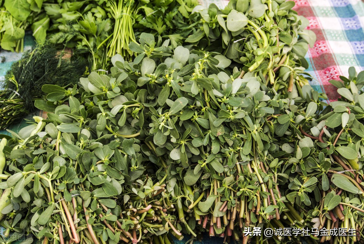 马齿苋的功效与家常做法,马齿苋和西瓜皮有什么妙用