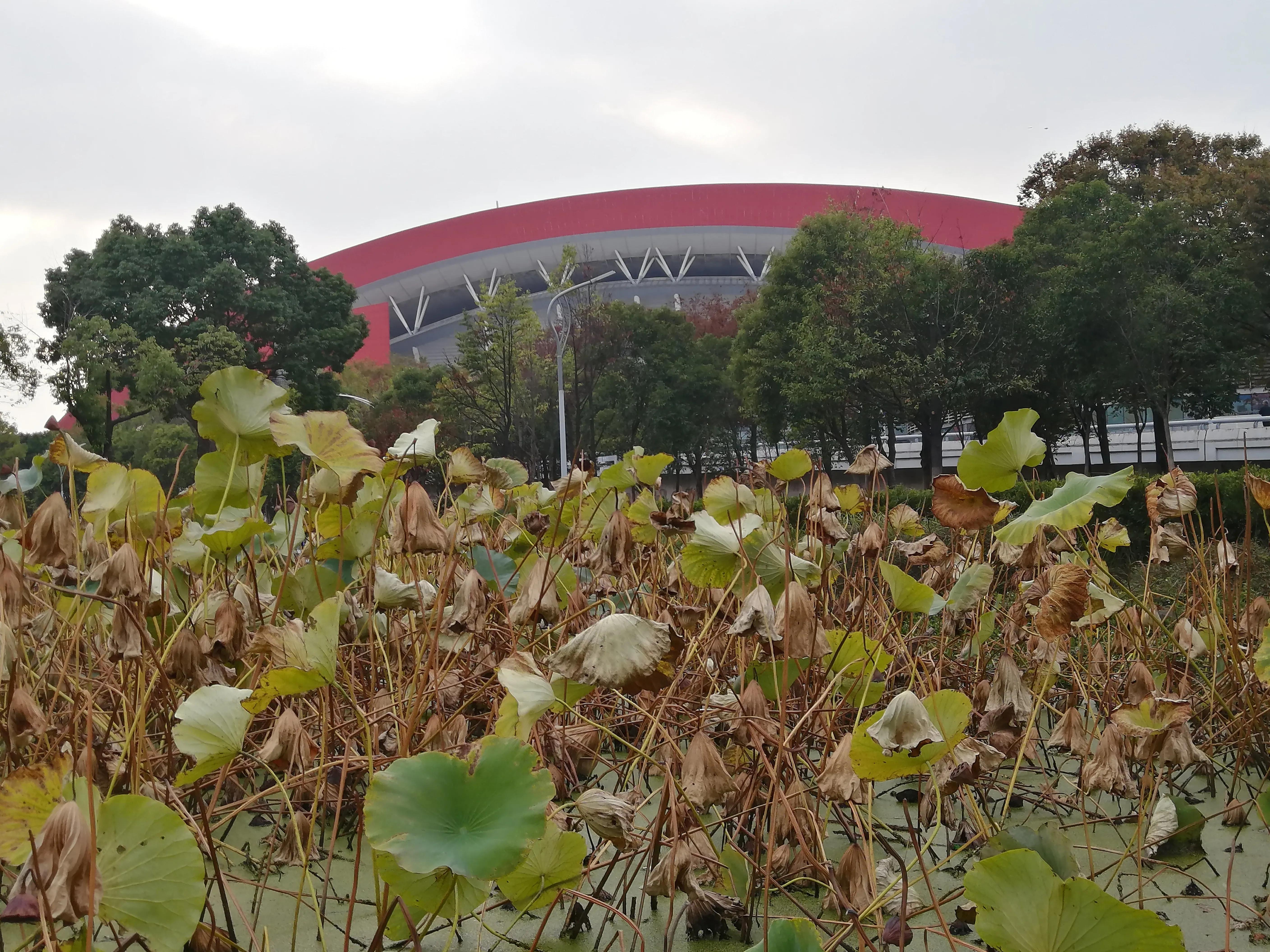 欢乐的海洋歌曲原唱,这里将成为欢乐的海洋