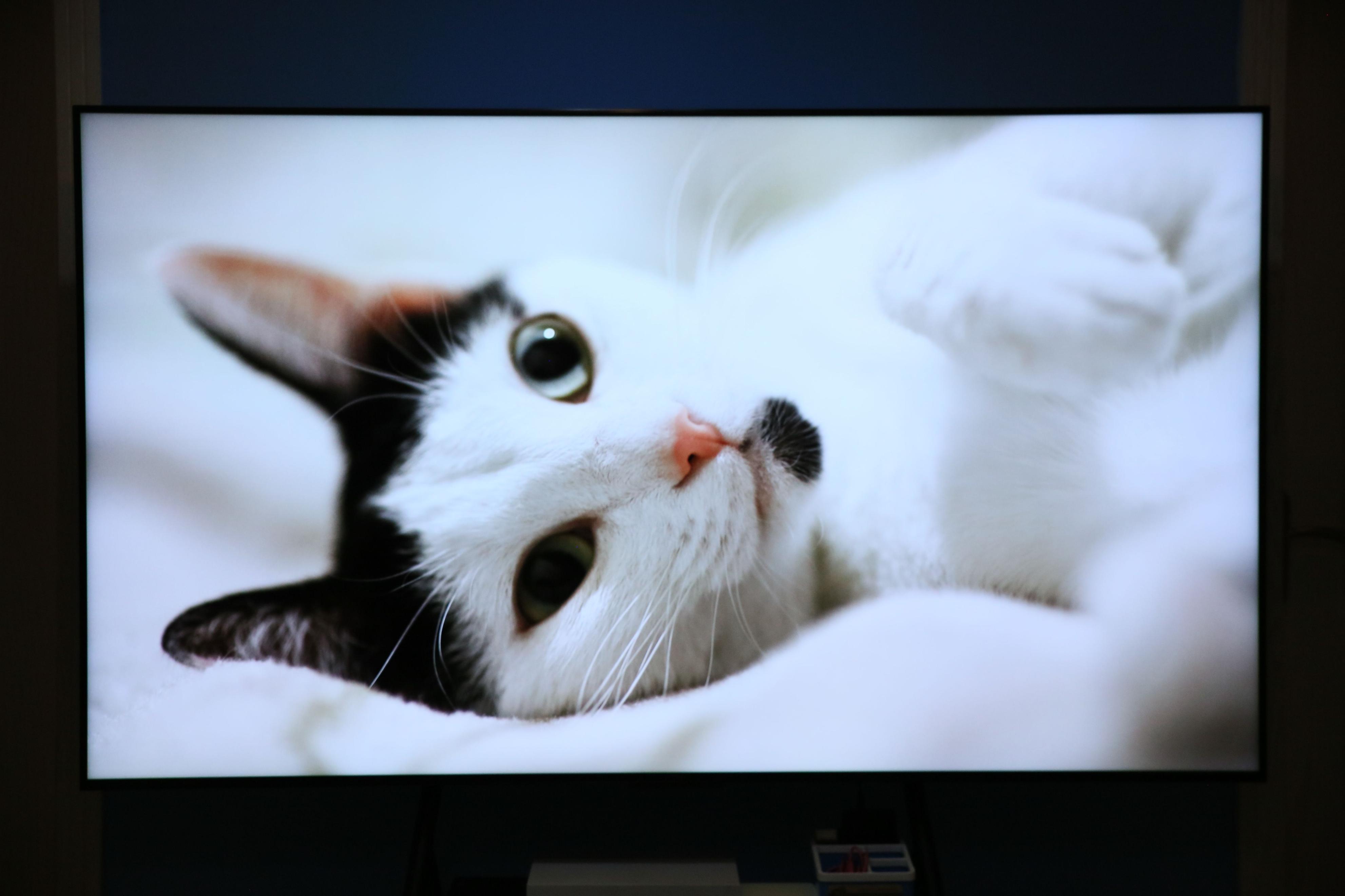 tclq10g85寸miniled电视评测,最值得购买的电视tclq10h