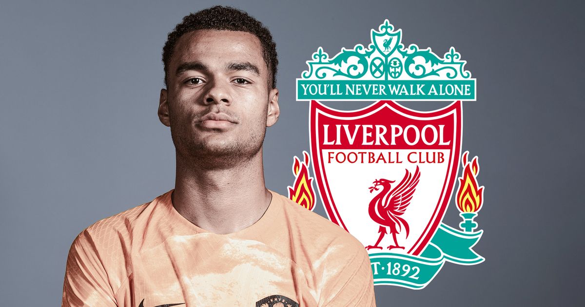 加克波来利物浦,年轻小将加克波