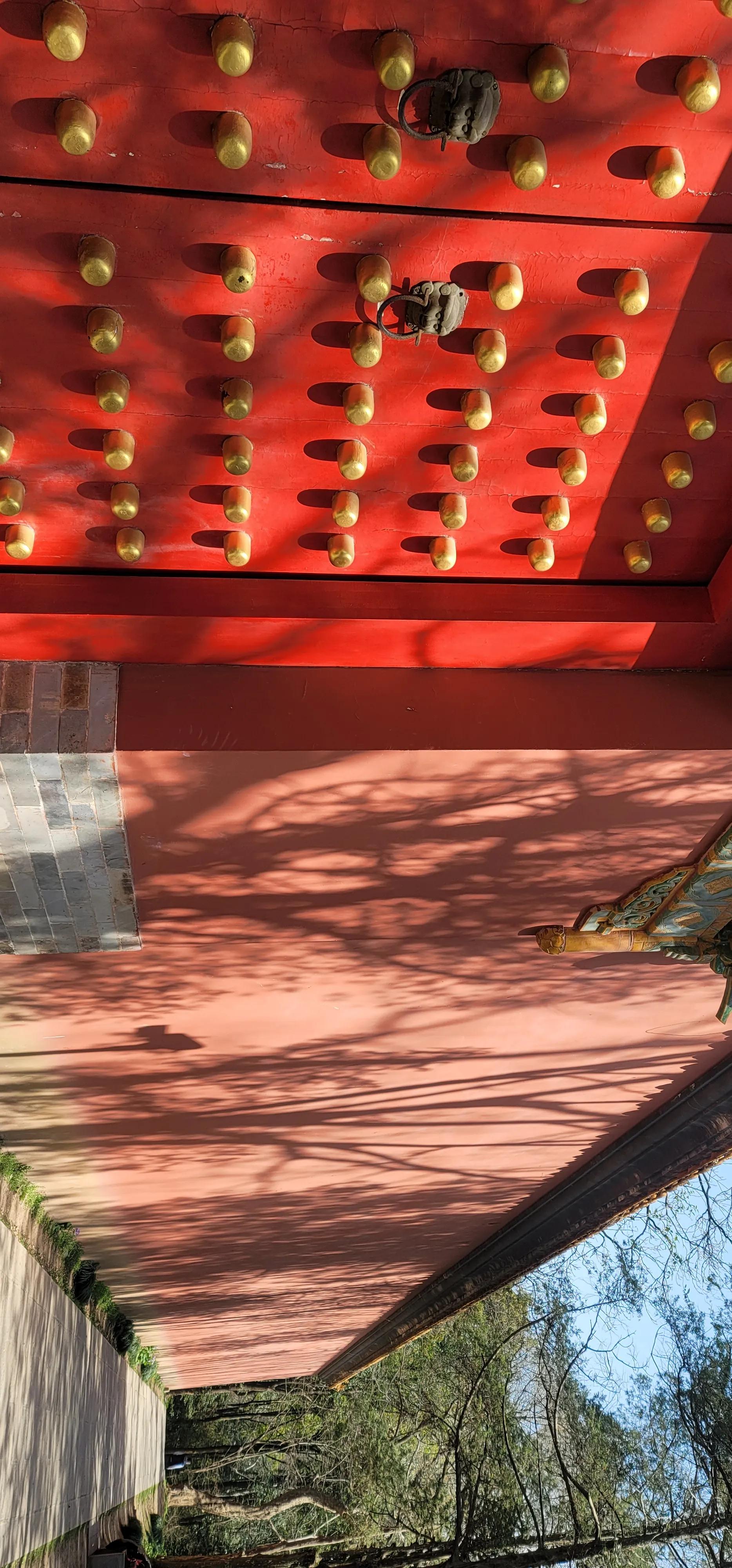 开着沪牌回老家怎么样,开着大巴玩转江浙沪