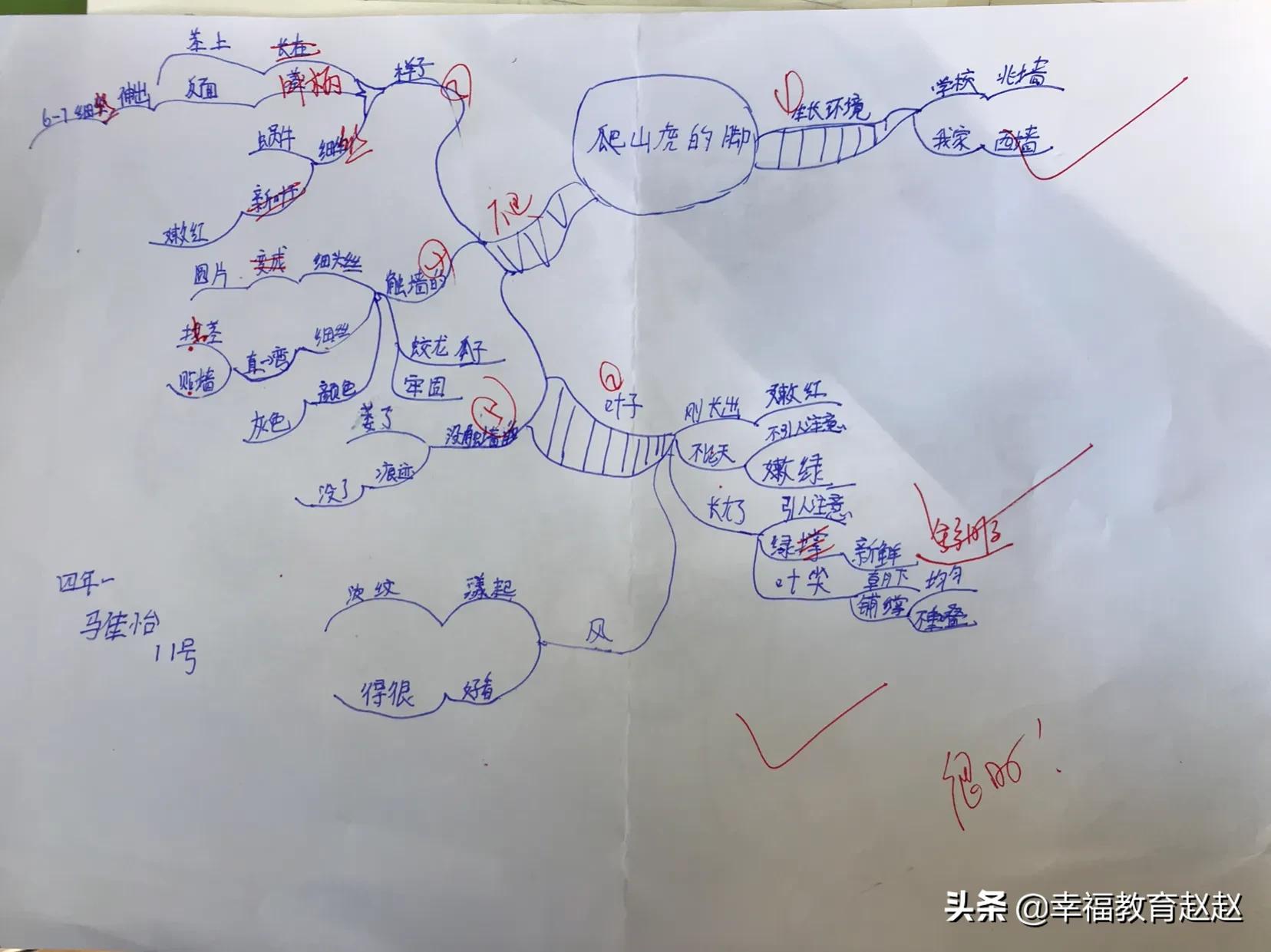 爬山虎的脚思维导图怎么画图片,爬山虎的脚思维导图绘画过程