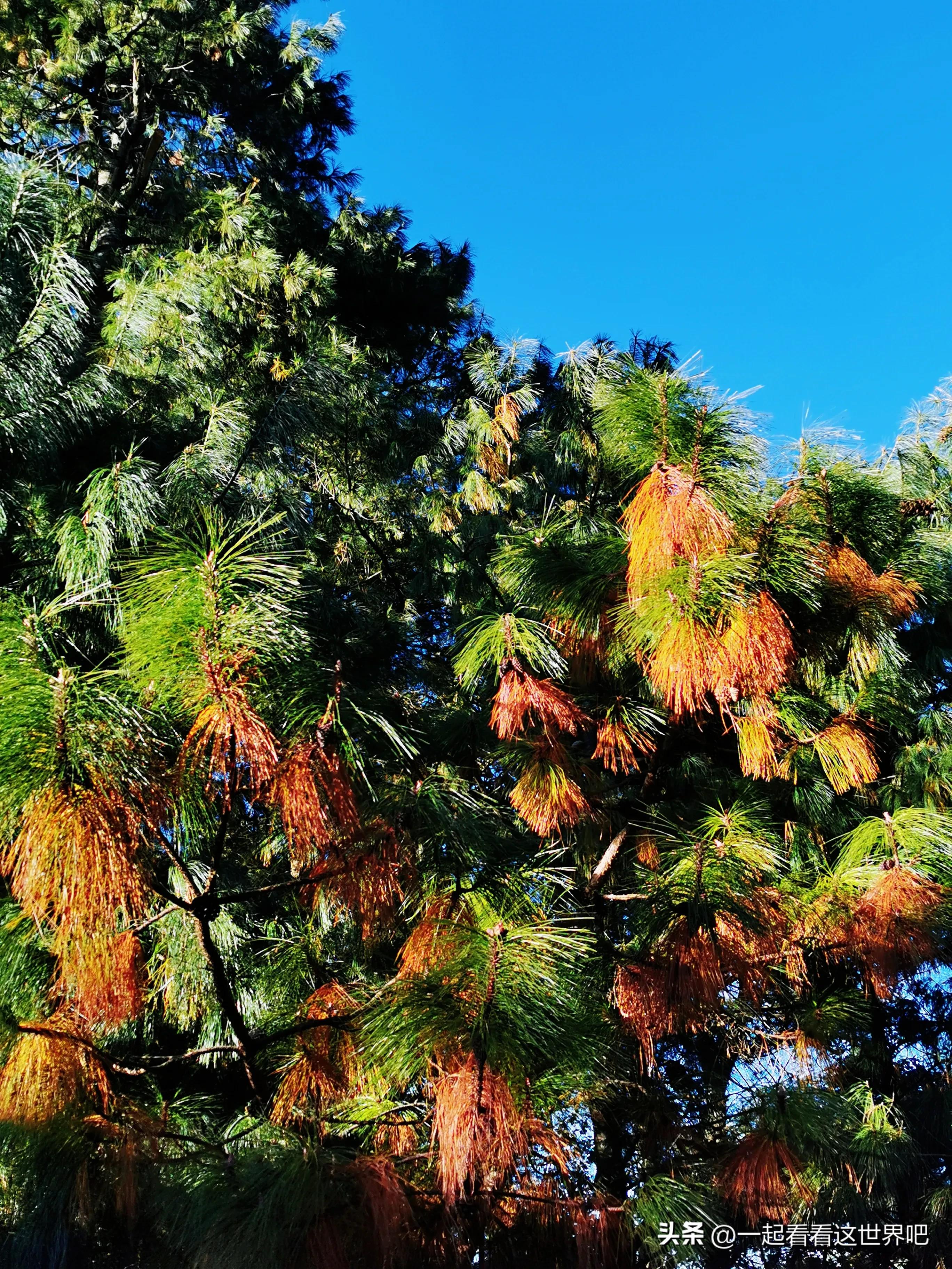 骑行昆明十峰之梁王山,昆明周边游玩景点梁王山