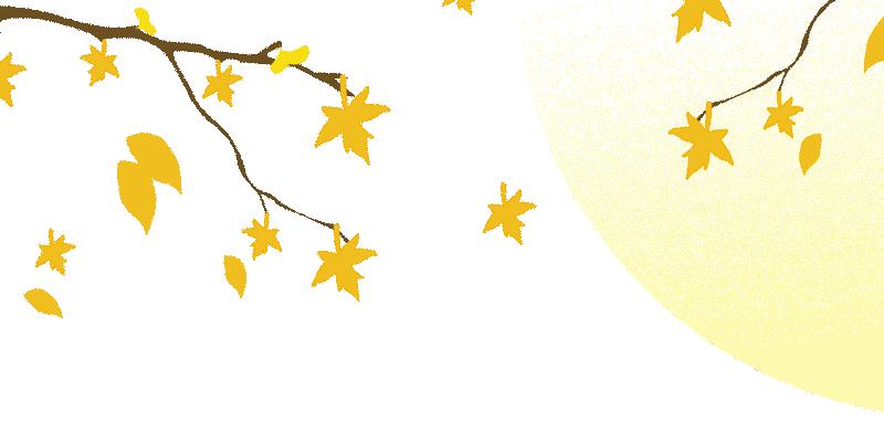 卖家如何判断是否需要注册加拿大消费税？注册GST有什么优势？