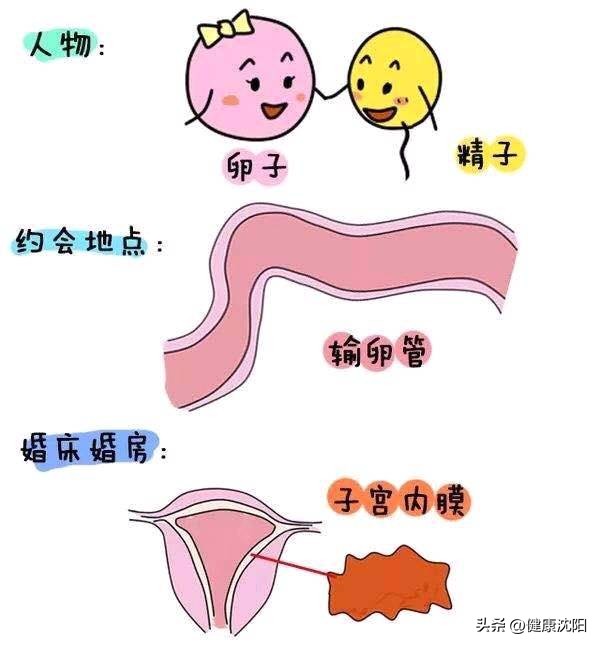 妇幼保健知识宣教活动方案,健康知识普及行动系列科普知识