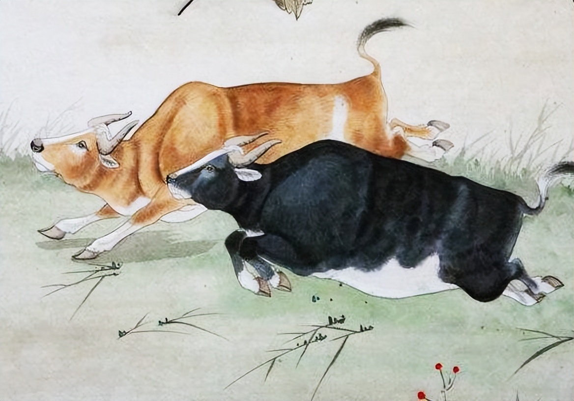 7月10日生肖财运排行榜,7月9号生肖财运分析表