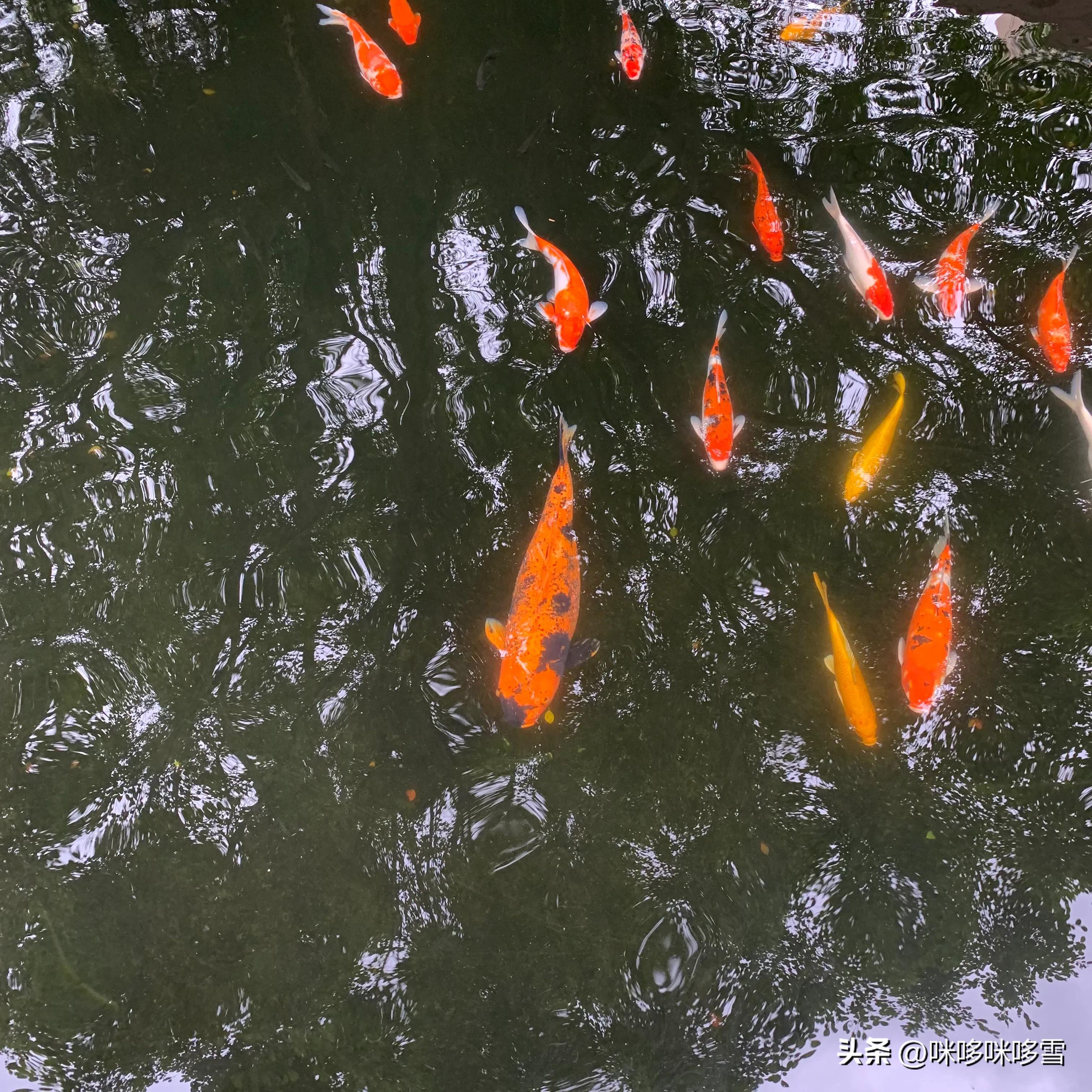 深圳市儿童乐园一日游,深圳儿童乐园值得去吗