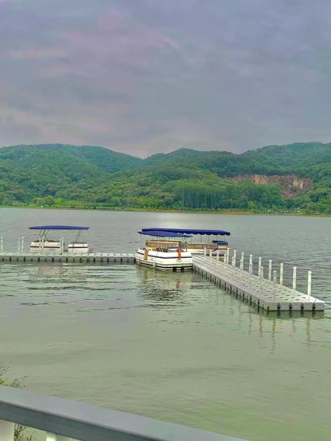 广州西保利均价6000带精装修,广州西高新区保利央企新盘