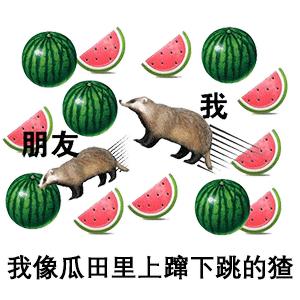 美女穿紧身衣玩飞盘，运动5分钟摆拍两小时，网友：飞盘媛？