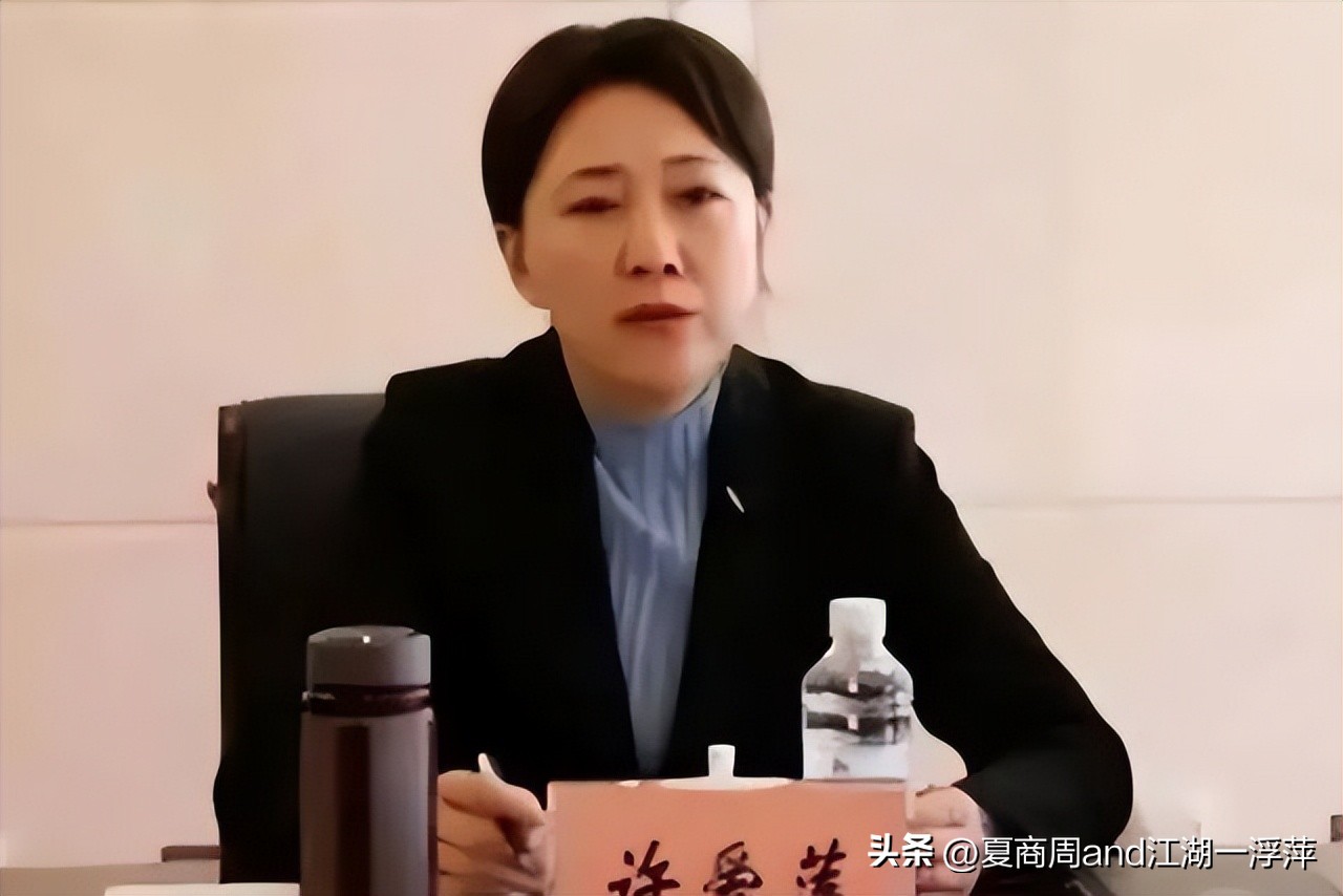 内蒙古审计局副局长李少莉,内蒙古自治区李少莉