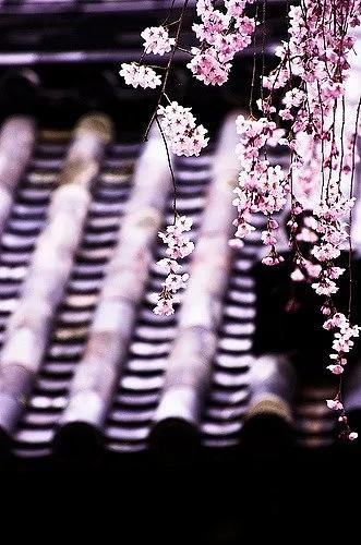 福到了，五福来敲门，跟这五件事有关