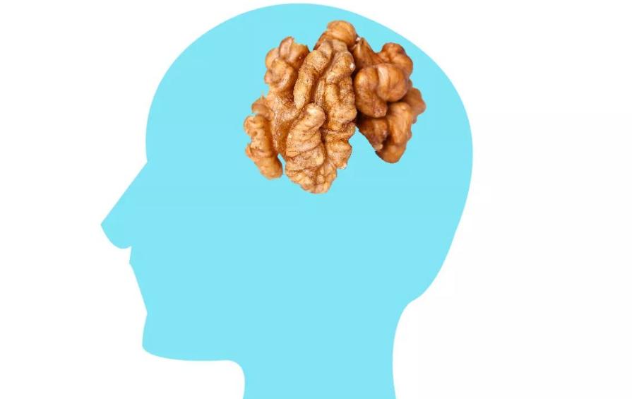 吃核桃对心血管病有好处吗,核桃对心血管病的功效